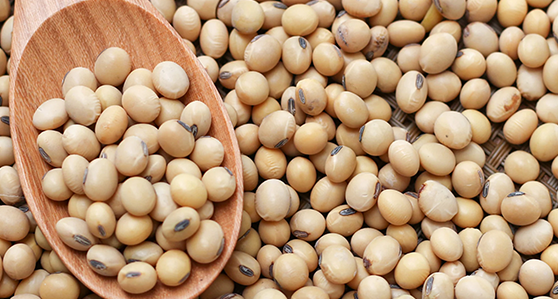 Soy-based powders