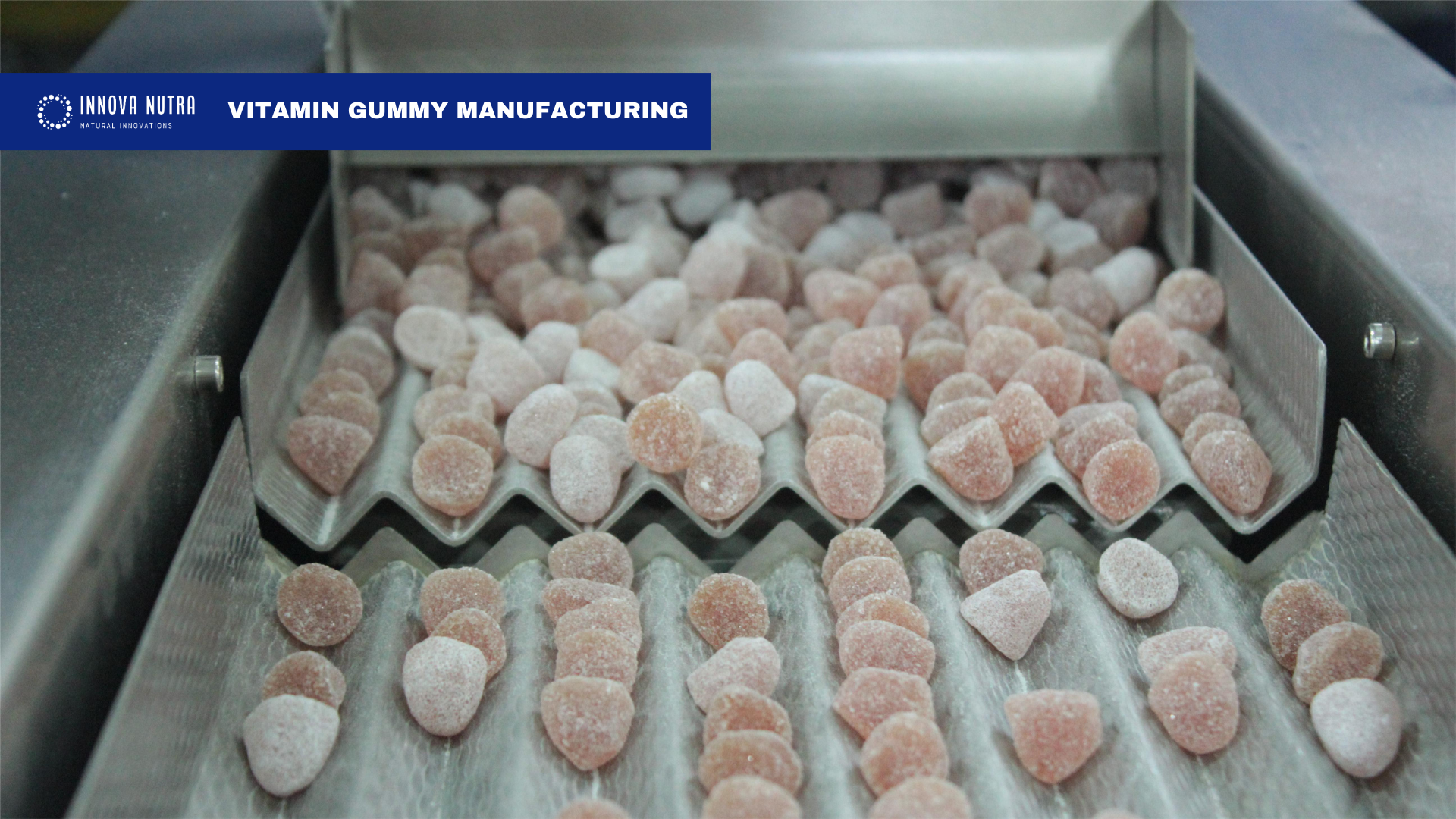 Gummy manufactured process