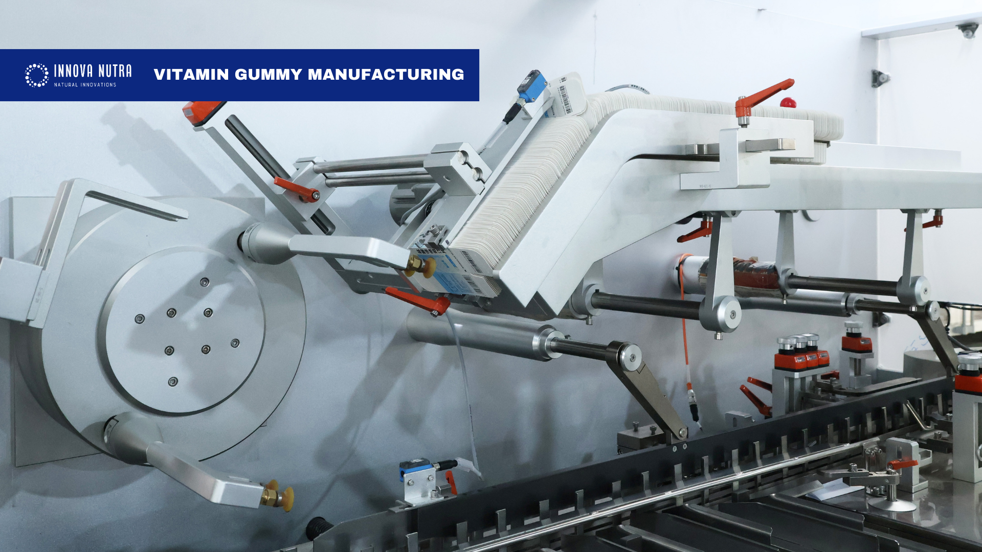 Vitamin Gummy Manufactured Machine