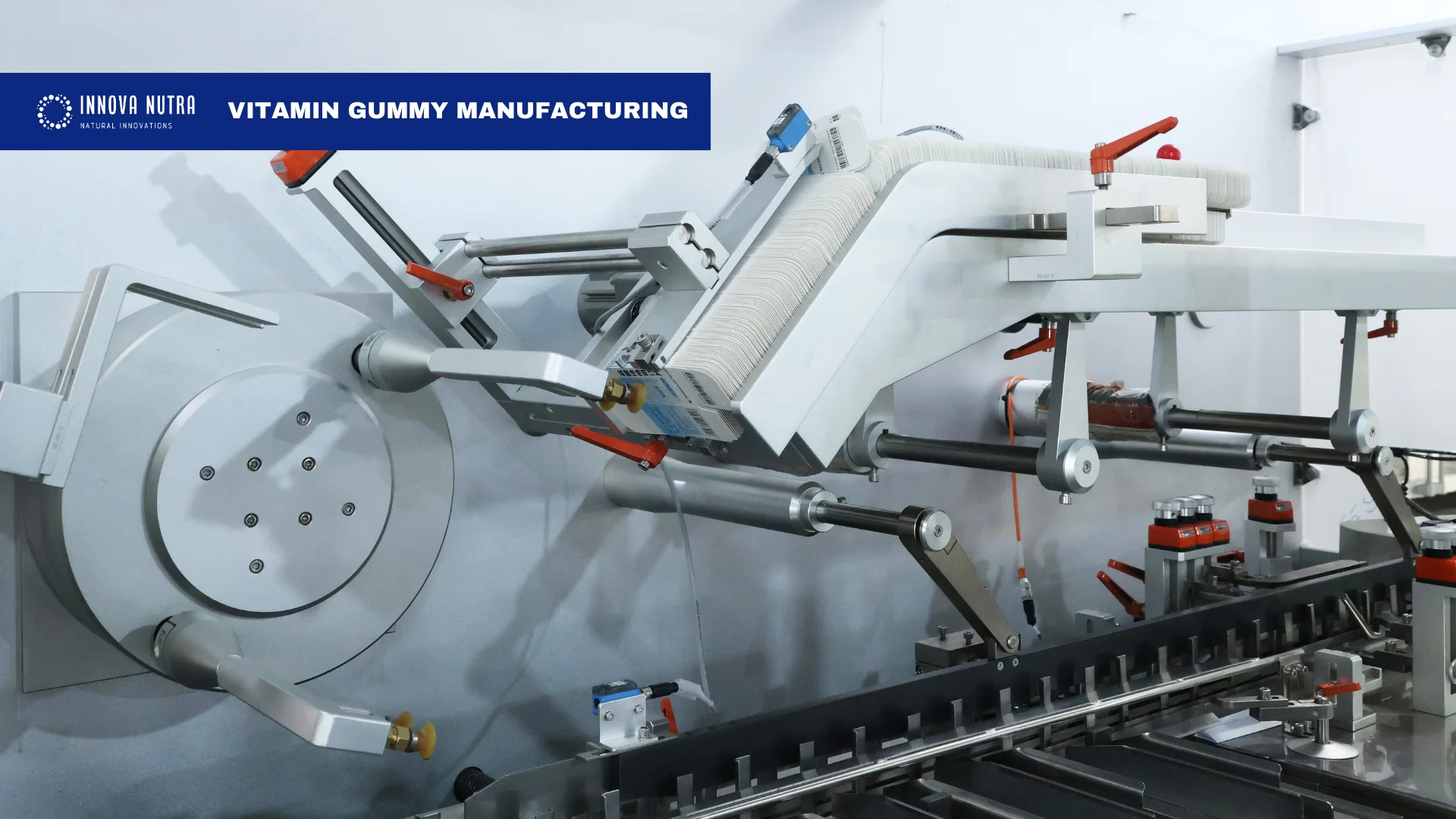 Vitamin Gummy Manufactured Machine