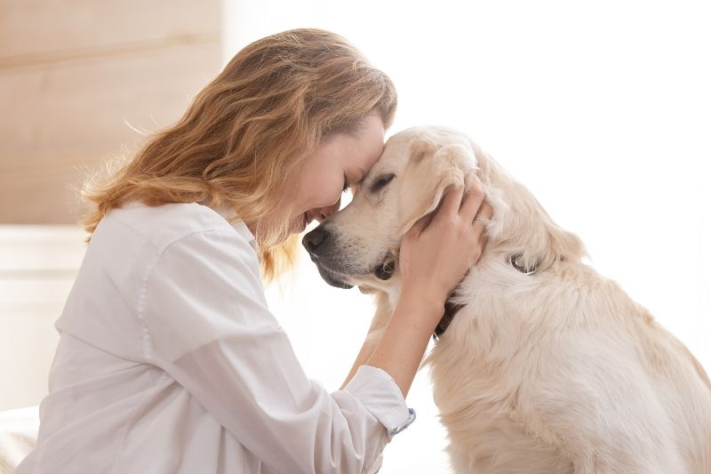 pet supplements