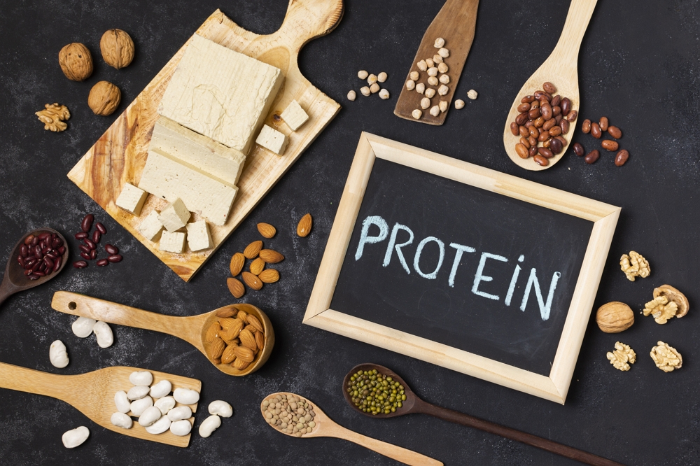 Whey Protein vs. Plant Protein