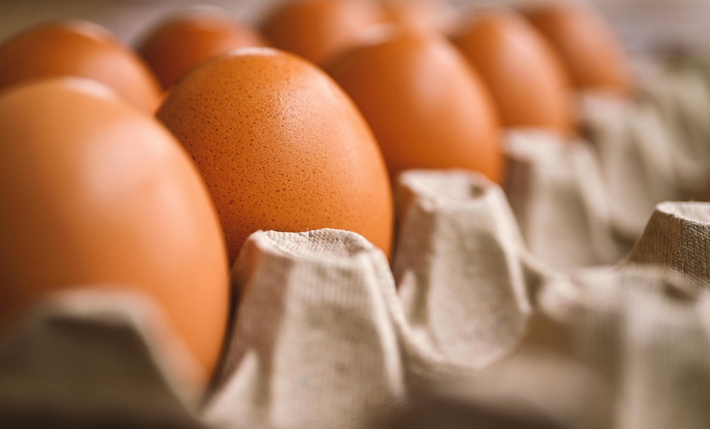 Whey protein powder manufacturing