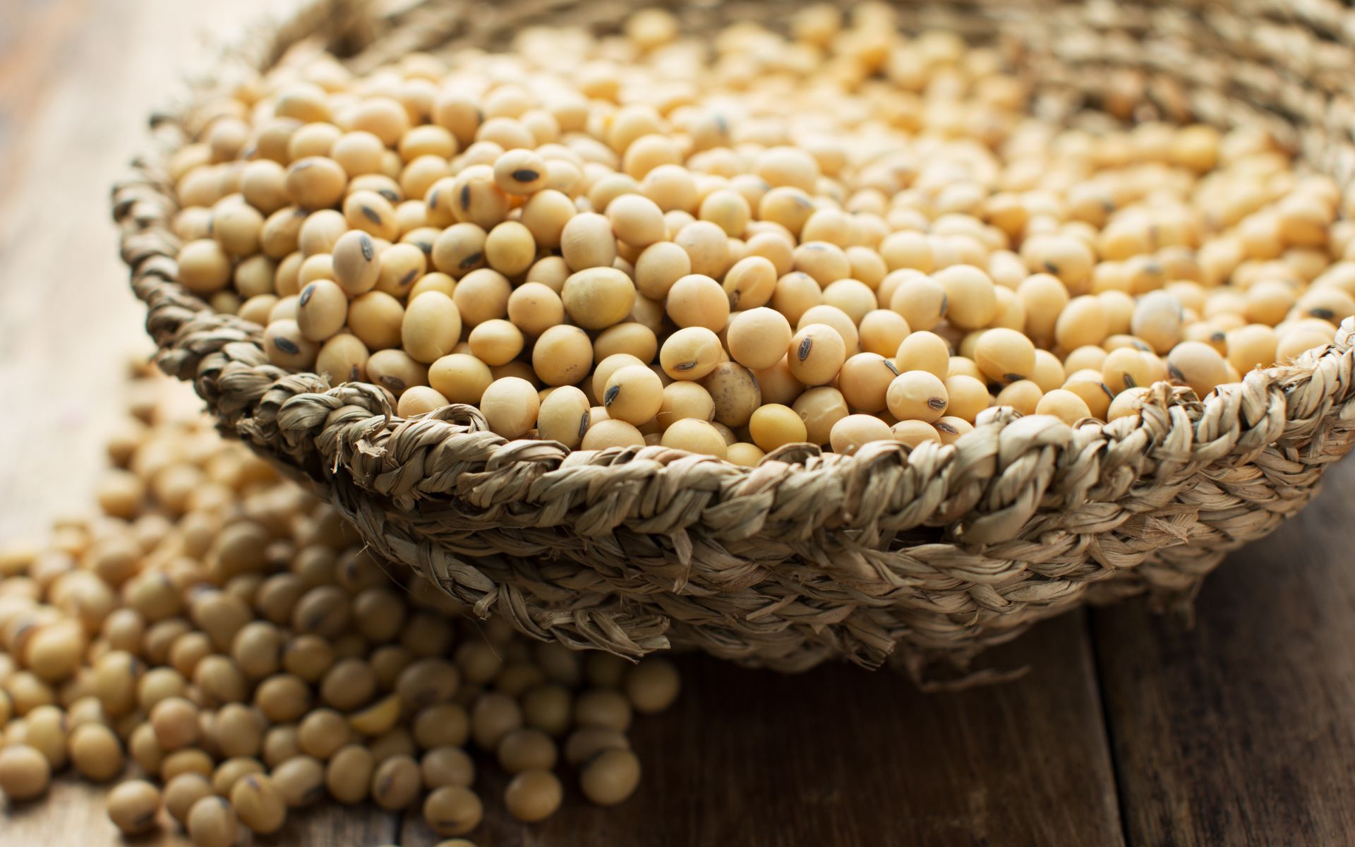 Soy-Based Powder